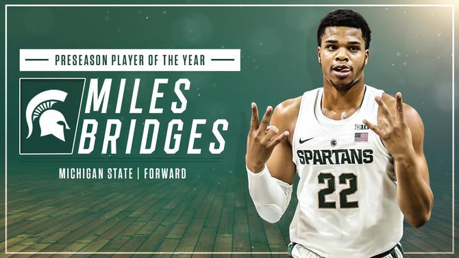 bridges-poty.jpg
