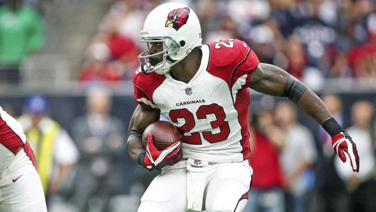 Adrian Peterson placed on injured reserve - Field Gulls