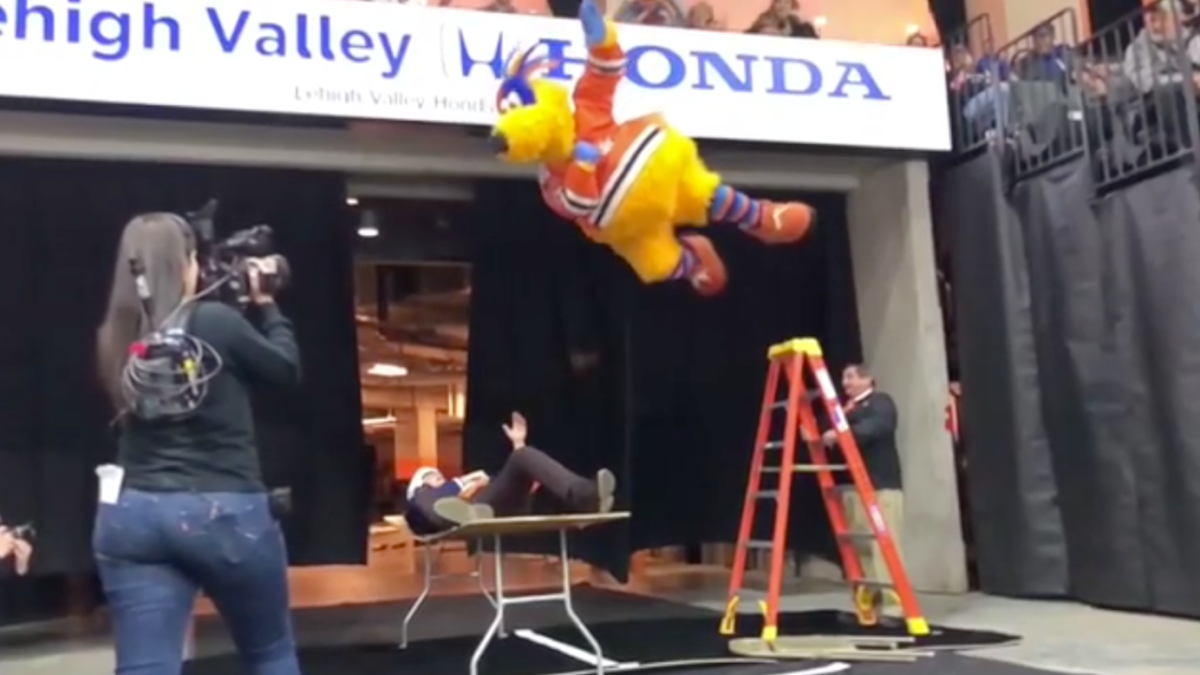 WATCH: Minor league hockey mascot pulls off impeccable diving