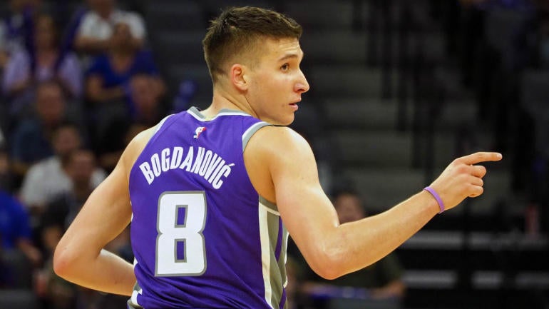 Image result for bogdan bogdanovic