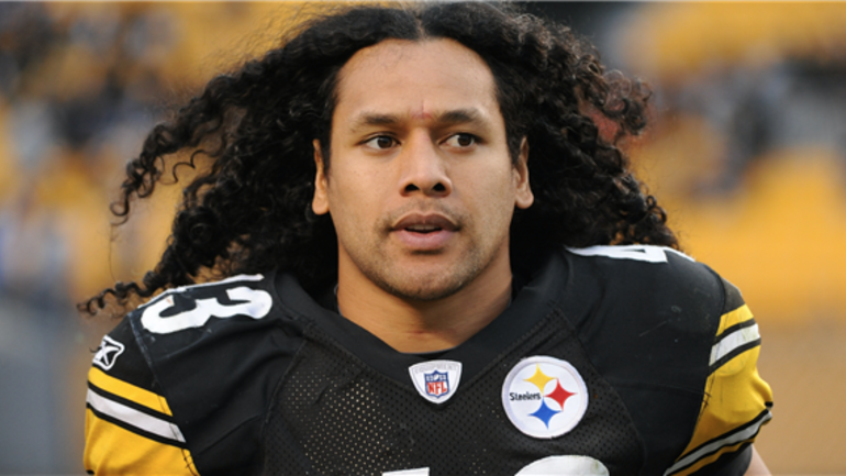 Troy Polamalu shares family photo on social media 