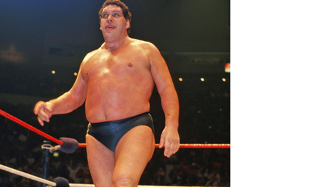 andre-the-giant-wwe-pullquote.gif