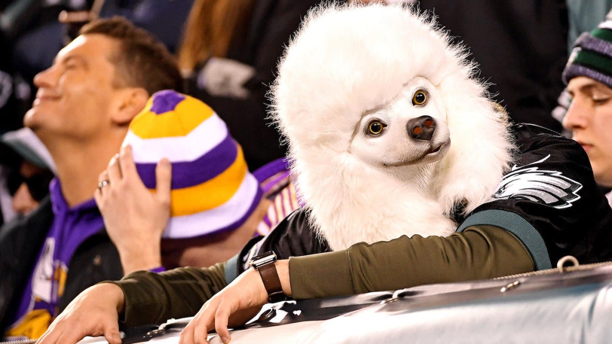 2018 Super Bowl: Can Eagles fans wear creepy dog masks into the