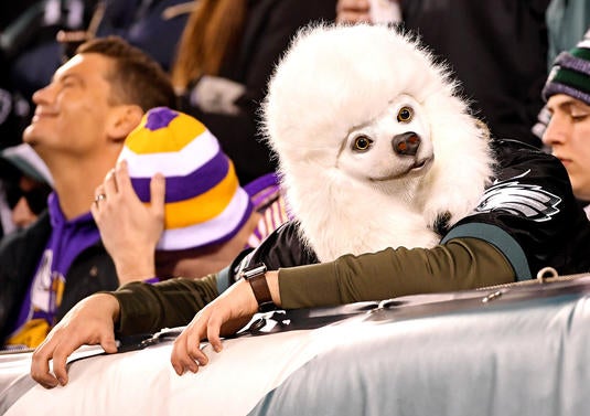 NFL: NFC Championship-Minnesota Vikings at Philadelphia Eagles