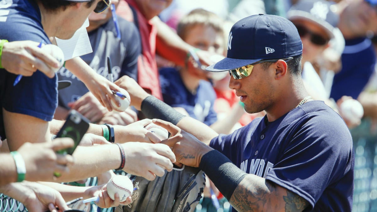 Yankees prospect Gleyber Torres 'can be the star' everyone's talking about  – New York Daily News
