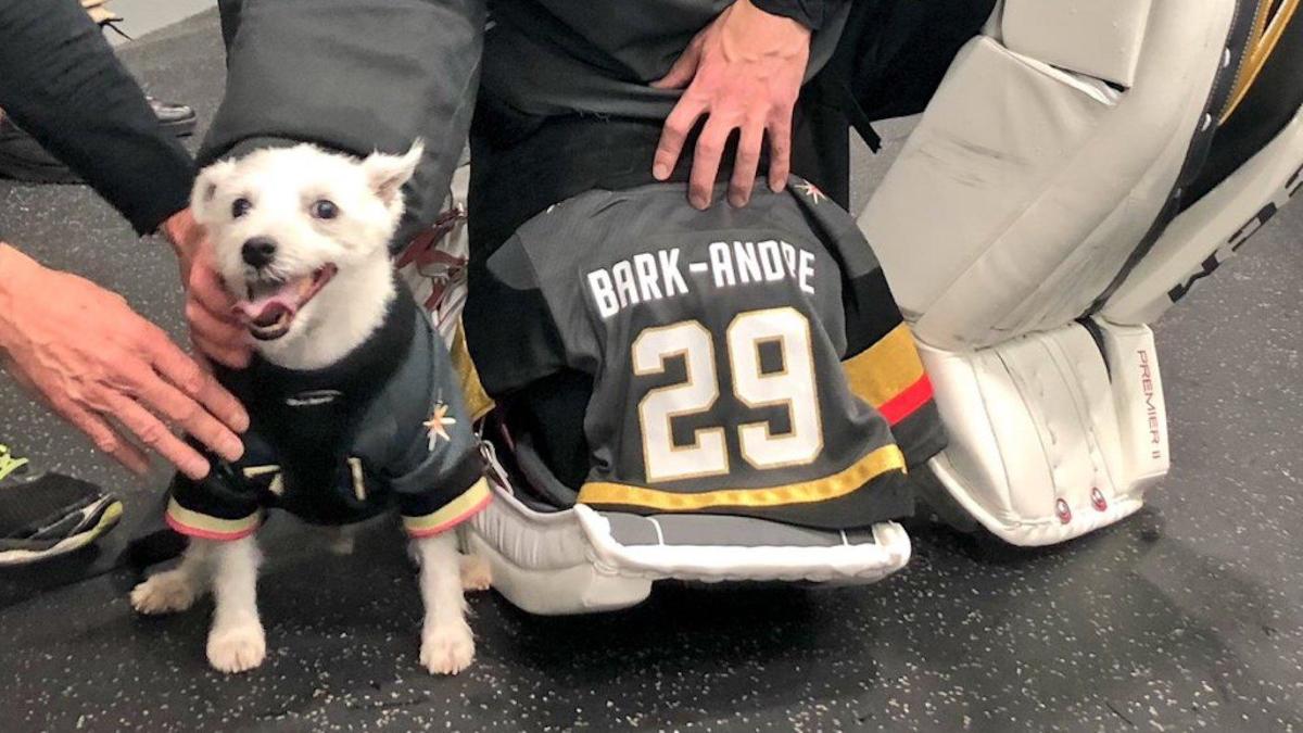 A Team's Best Friend: How Dogs Are Making Their 'Bark' On The NHL