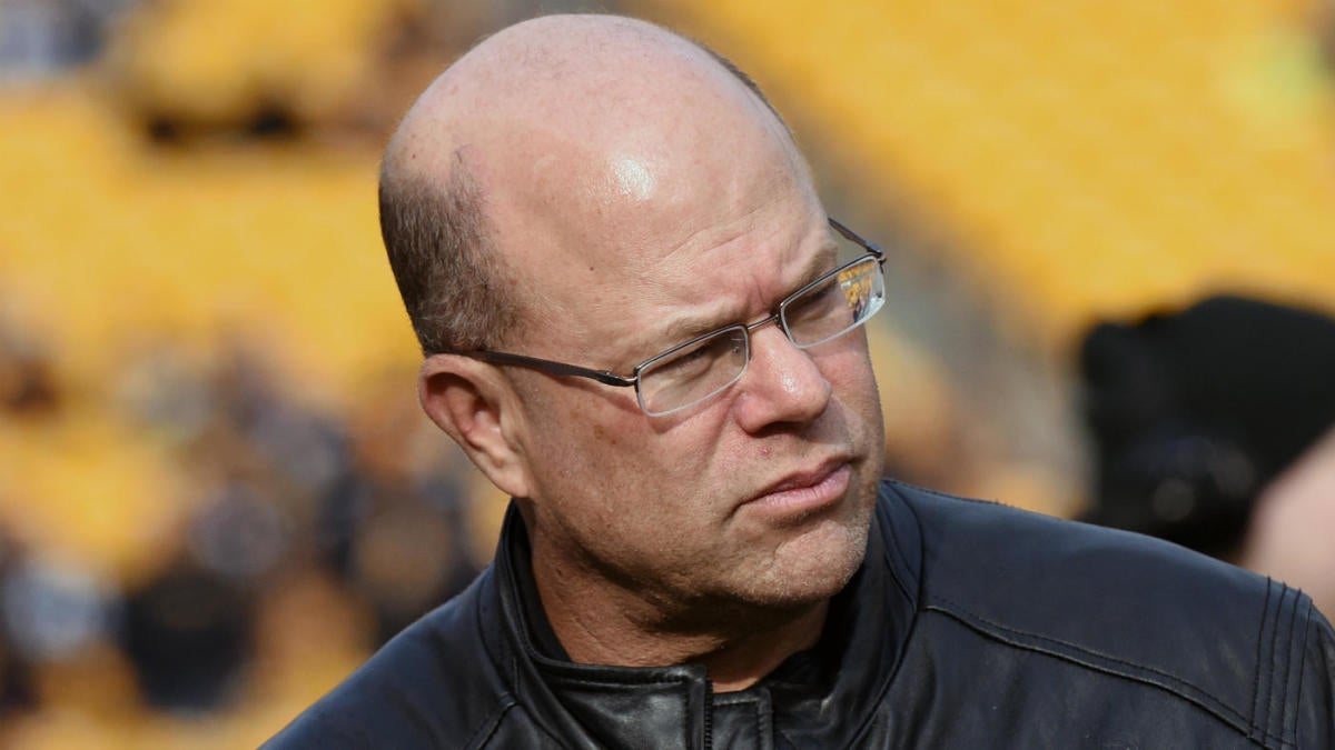 How Panthers owner David Tepper has been a 'force of nature