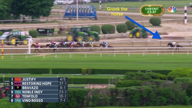 gronk-horse-last-place-belmont.png