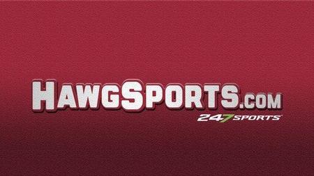 hawg sports 247