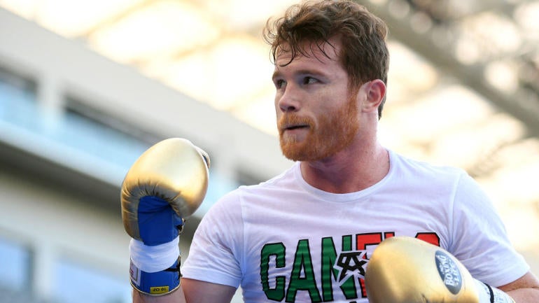 Image result for canelo alvarez