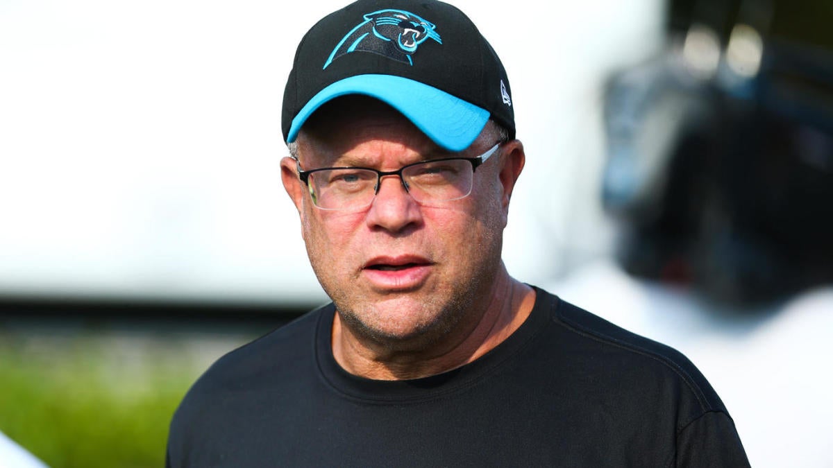 How Panthers owner David Tepper has been a 'force of nature