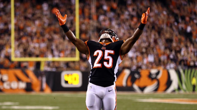 NFL: Baltimore Ravens at Cincinnati Bengals