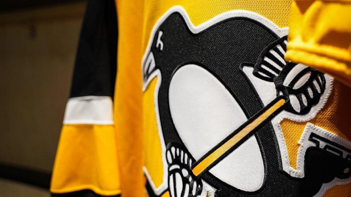 pittsburgh penguins new alternate jersey