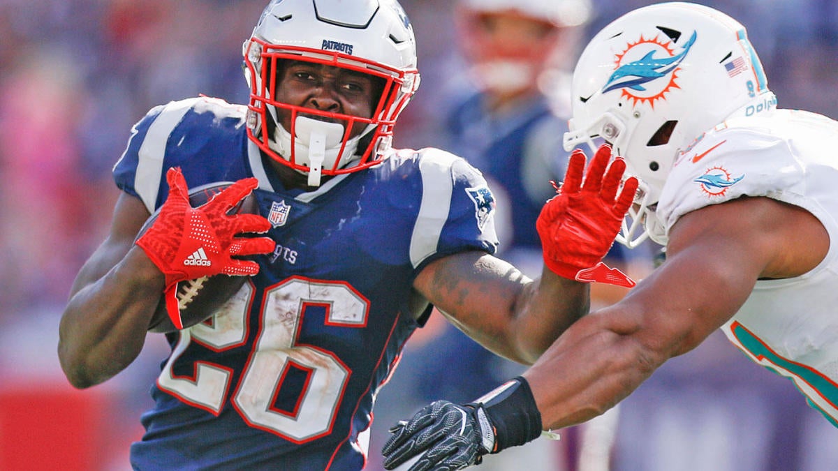 Sony Michel ends his outstanding rookie season in perfect fashion - Pats  Pulpit