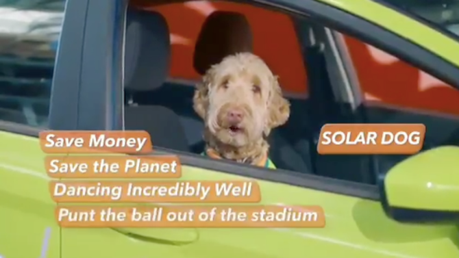 solar-dog-car-claims.png
