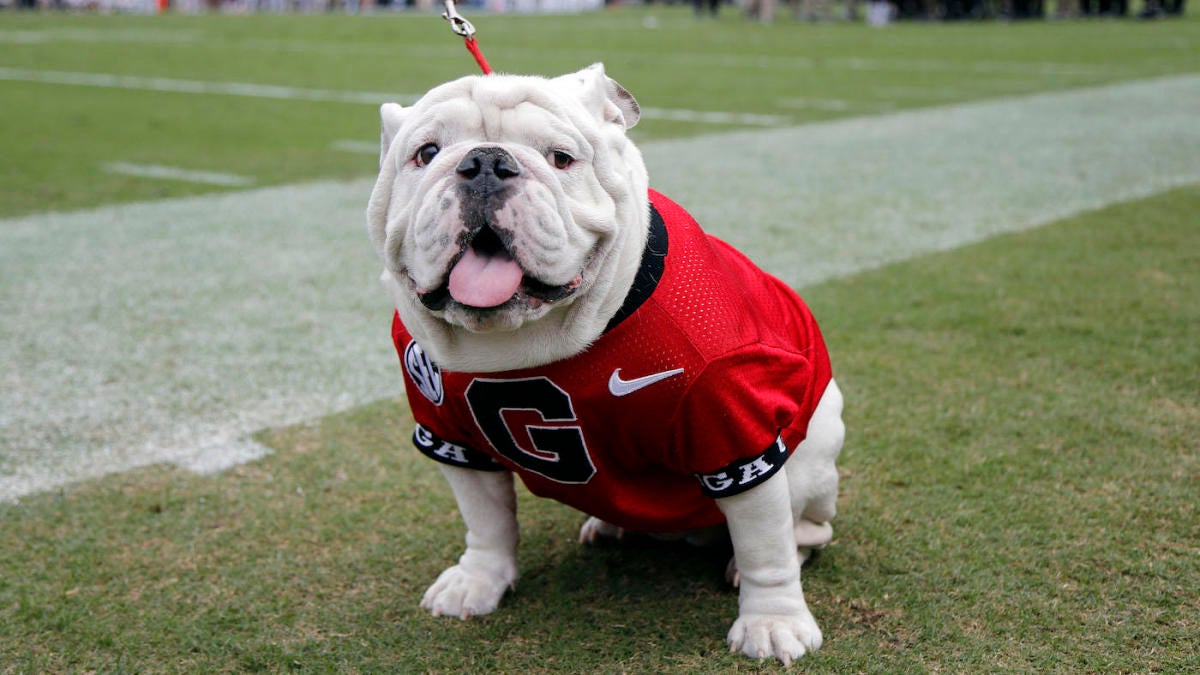 Georgia live bulldog mascot: 7 things to know about Uga 