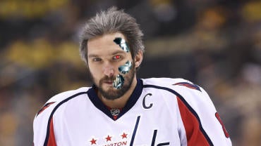 oviterminator.jpg