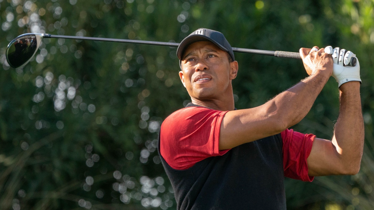 Year-end golf wrap: Tiger Woods outlook, rebound golfer and more fan ...