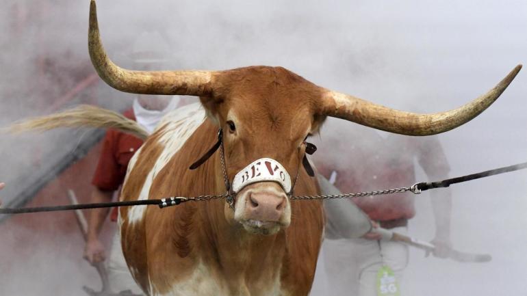 WATCH: Texas mascot Bevo charges Georgia mascot Uga in 