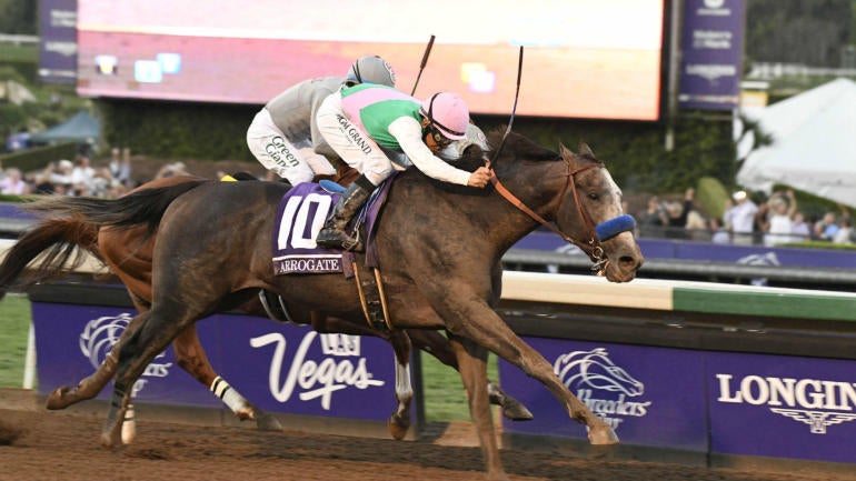 Santa Anita Track Cancels Live Racing After 21 Horses Die In Under 