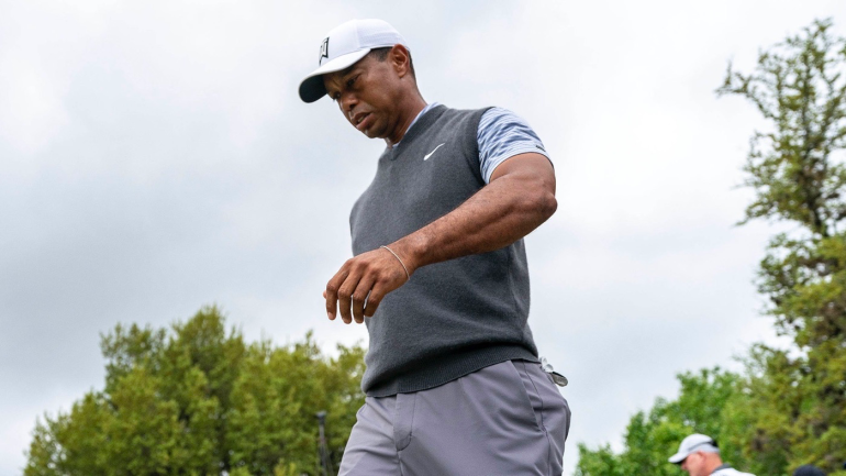 tiger-3-29-19-1.png