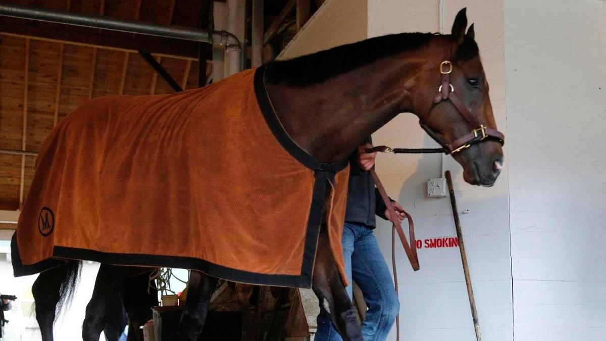 2019 Kentucky Derby Omaha Beach Scratched Undergoes