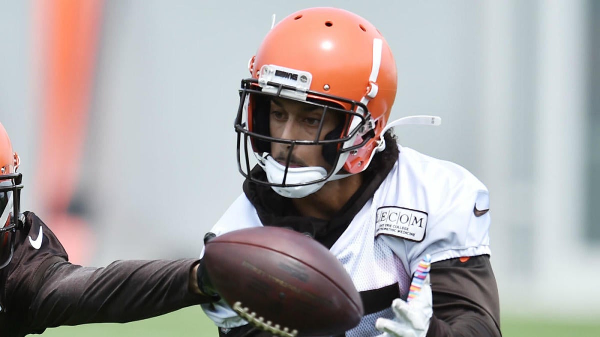 Cleveland Browns wide receiver Damon Sheehy-Guiseppi's inspiring