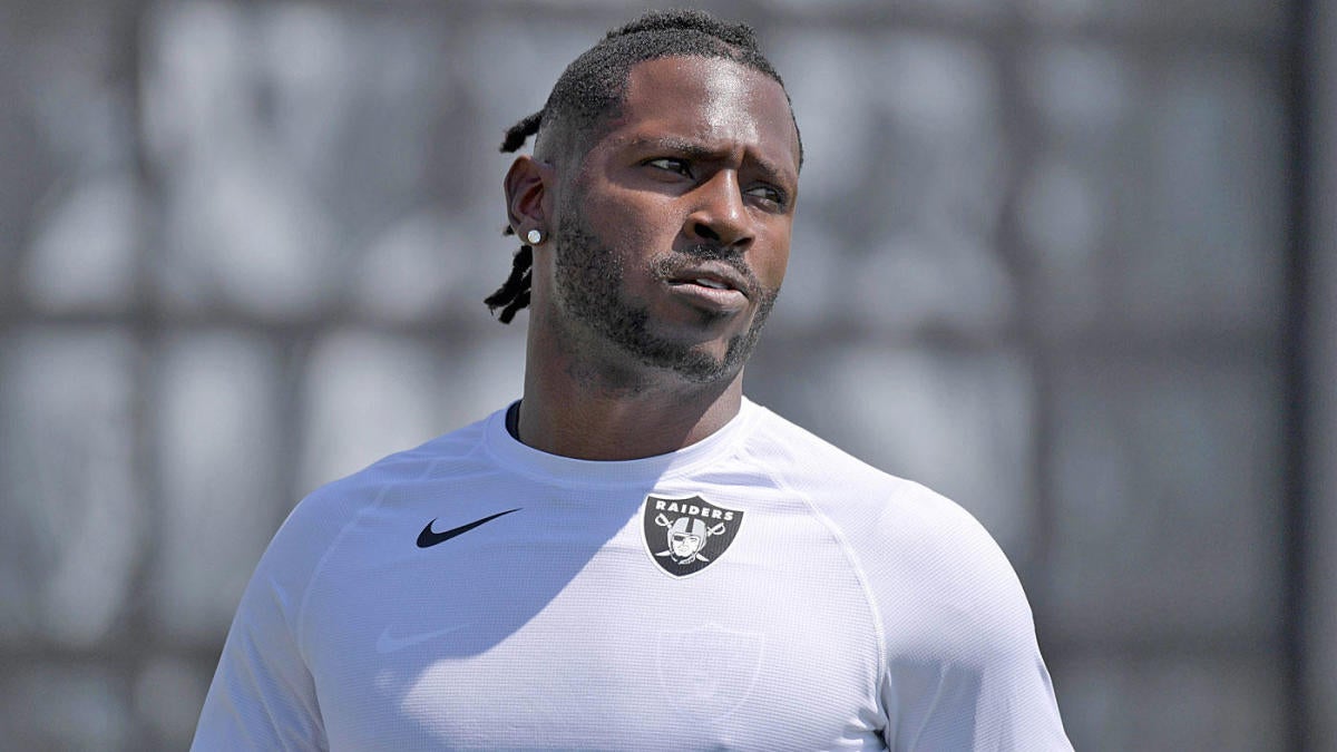 Antonio Brown of the Pittsburgh Steelers attempts to hurdle