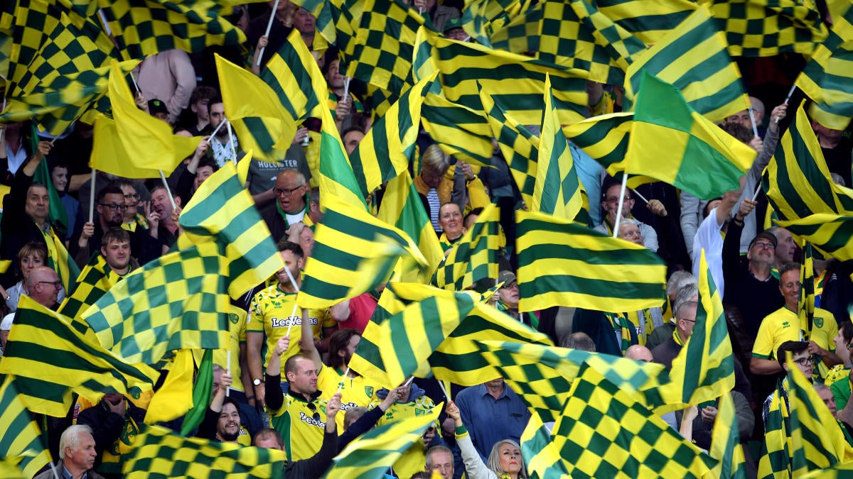 Norwich City vs. Southampton: Cara menonton online, info streaming langsung, waktu pertandingan, saluran TV
