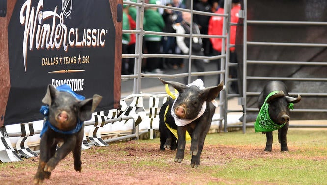 2020 Bridgestone NHL Winter Classic - Nashville Predators v Dallas Stars