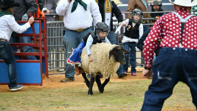 2020 Bridgestone NHL Winter Classic