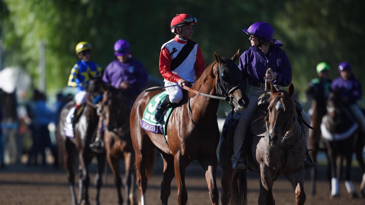 2020 Stakes odds, contenders, lineup Horse racing insider