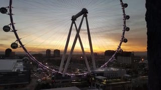 Here's What Will Happen If a Draft Prospect Dares To Jump Into The Bellagio  Fountain￼ - Daily Snark