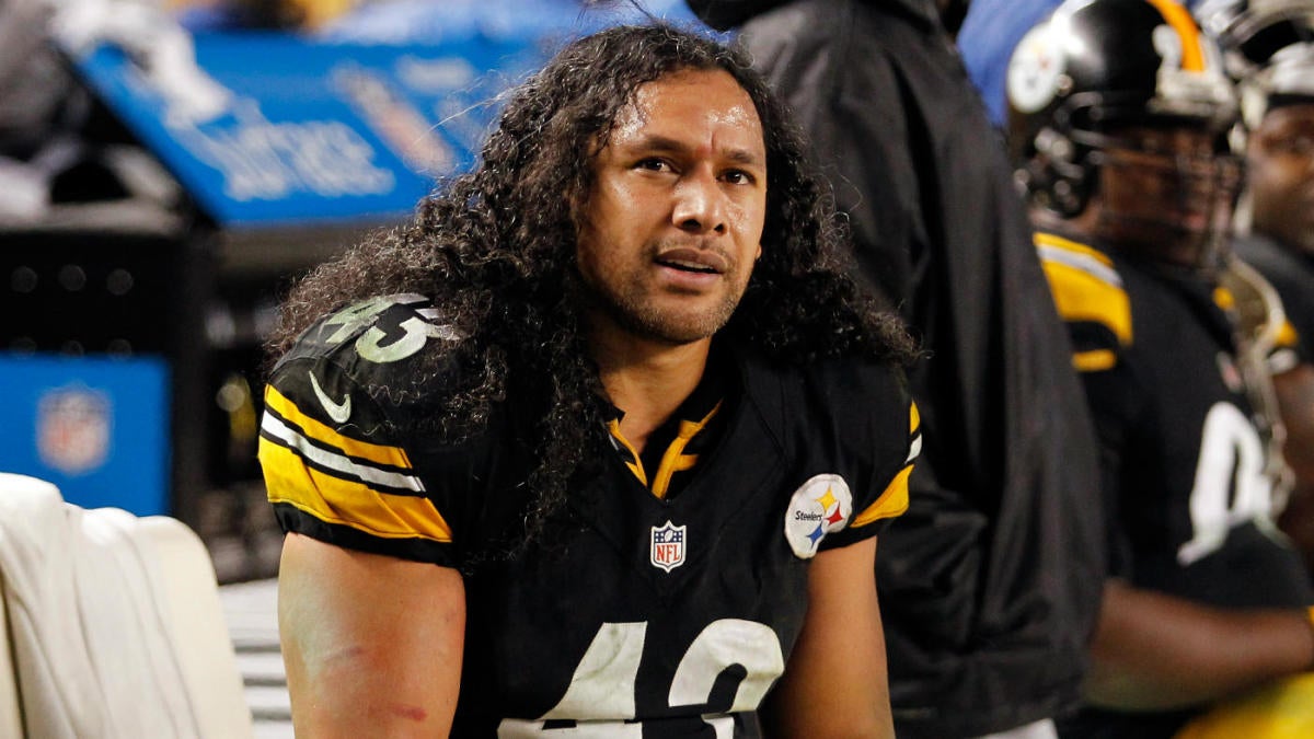 troy polamalu hall of fame jersey