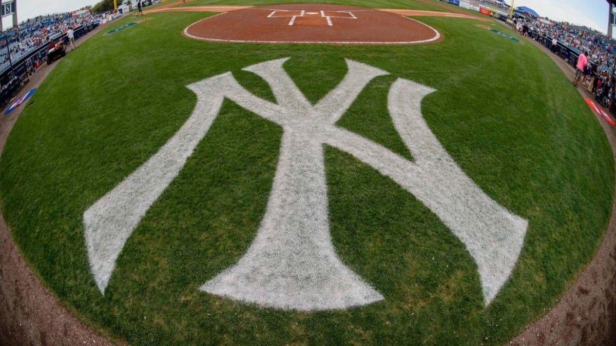 70-year-old woman gets to be NY Yankees' bat girl, throw out first