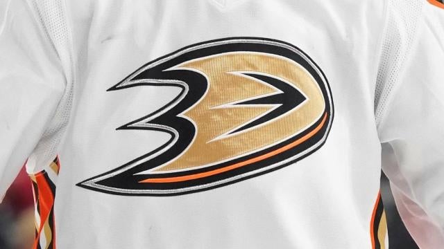 anaheim ducks grey jersey