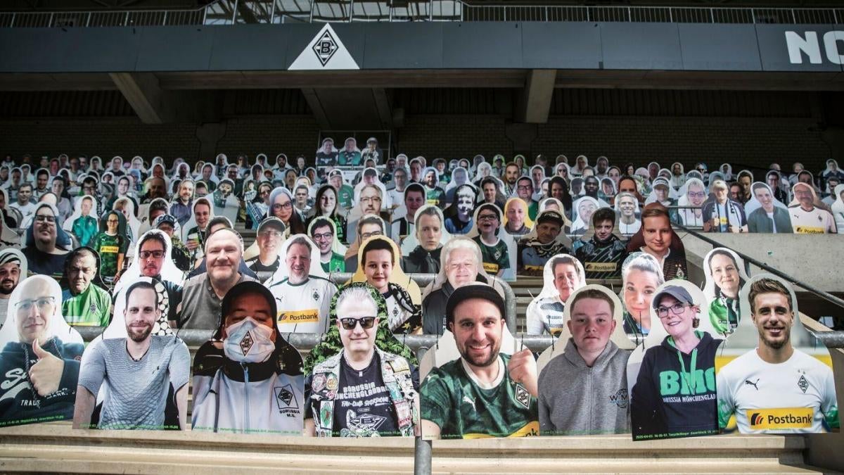 cardboard stadium fans