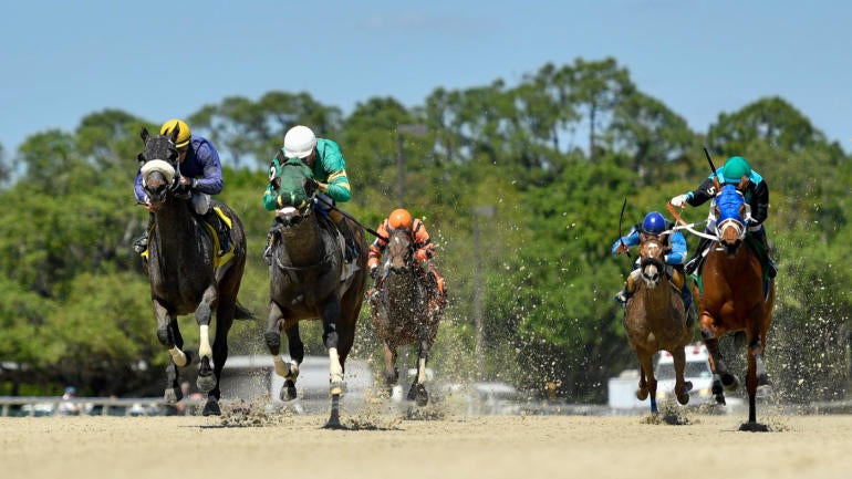 tampabaydowns-1.jpg