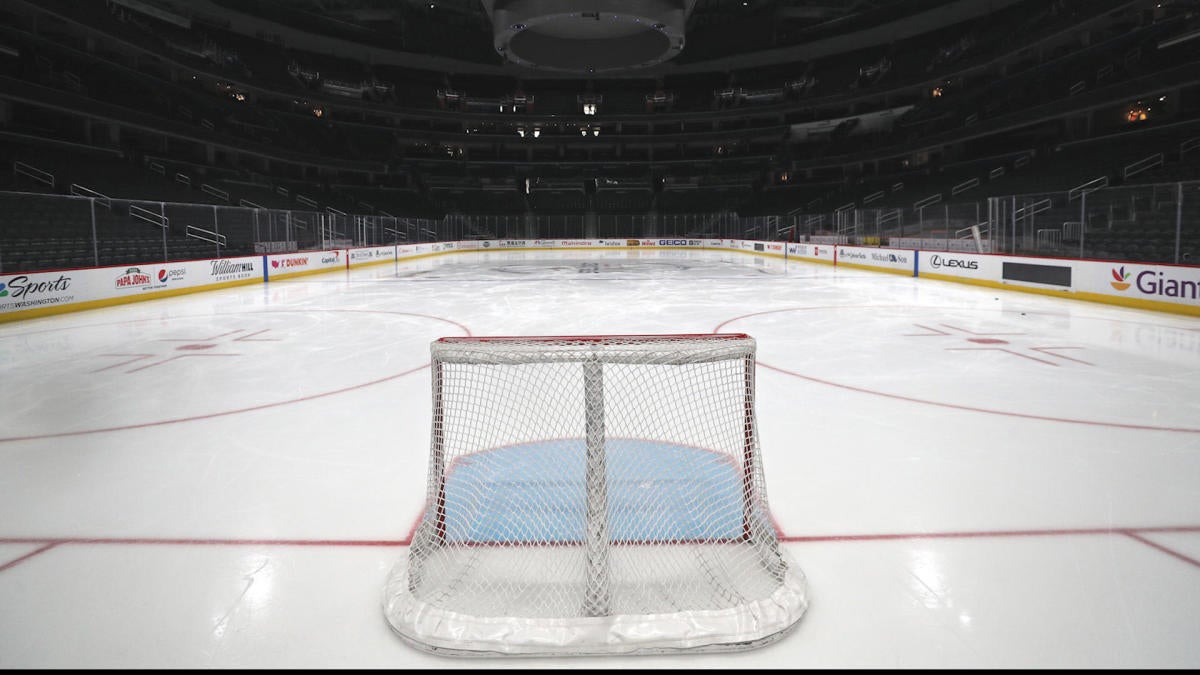 new nhl net