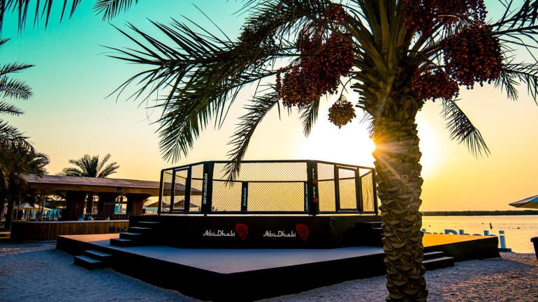 ufc-cage-beach.jpg