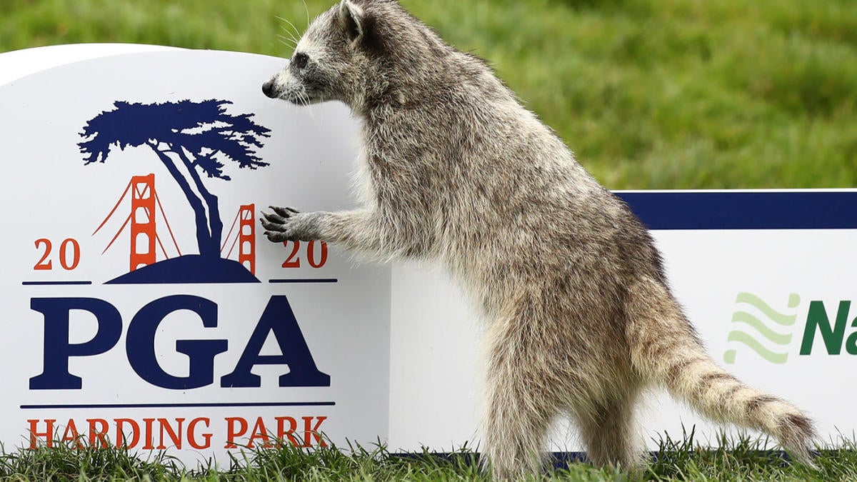 2020 PGA Championship live stream, watch online, TV schedule, coverage, channel, golf tee times in Round 1 - CBS Sports