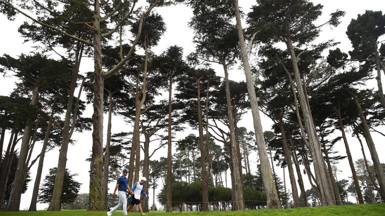 trees-pga-harding-park-getty.jpg
