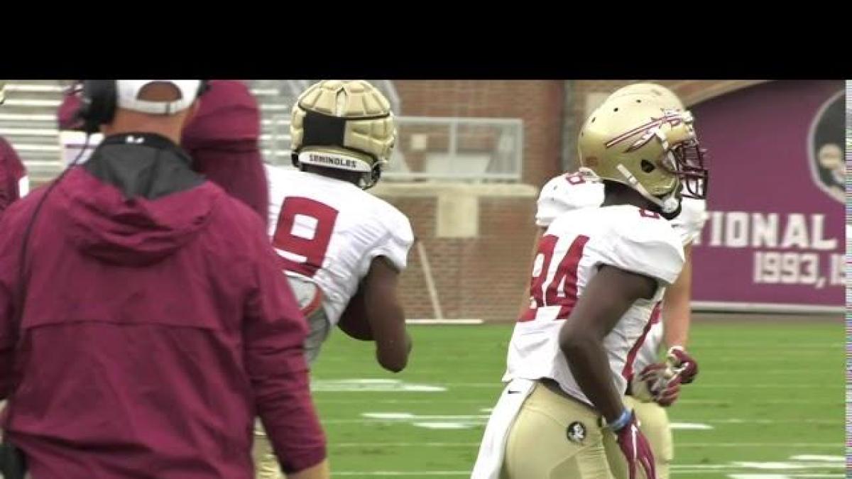 FSU Scrimmage Highlights