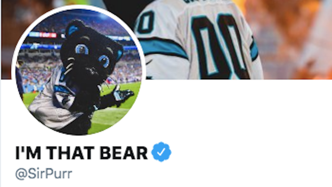 panthers-mascot-bear-robby-anderson.png