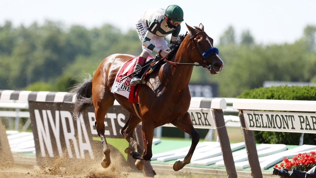 belmont stakes 2022 betting odds