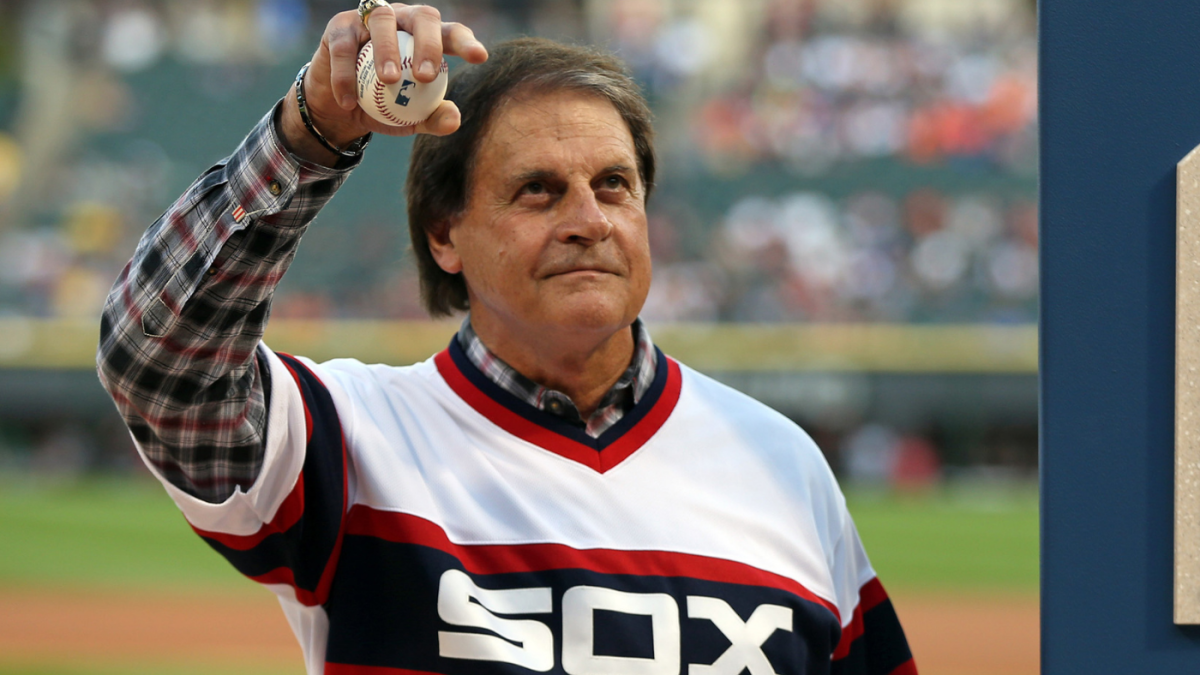 Tony La Russa becomes a walking dad joke by rocking a sideways cap during  Saturday's Sox game - Article - Bardown