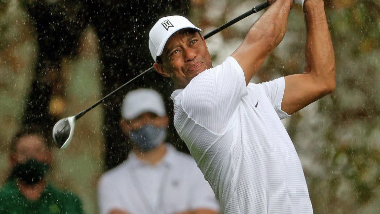 1-tiger-file-masters.jpg