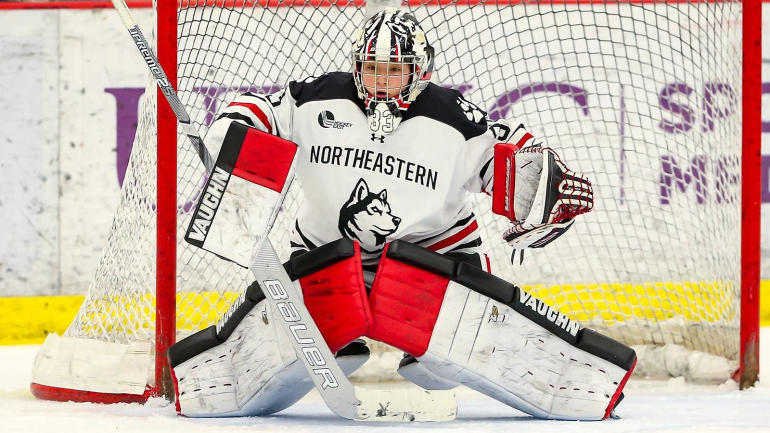 hockey-east-northeastern-whock.jpg