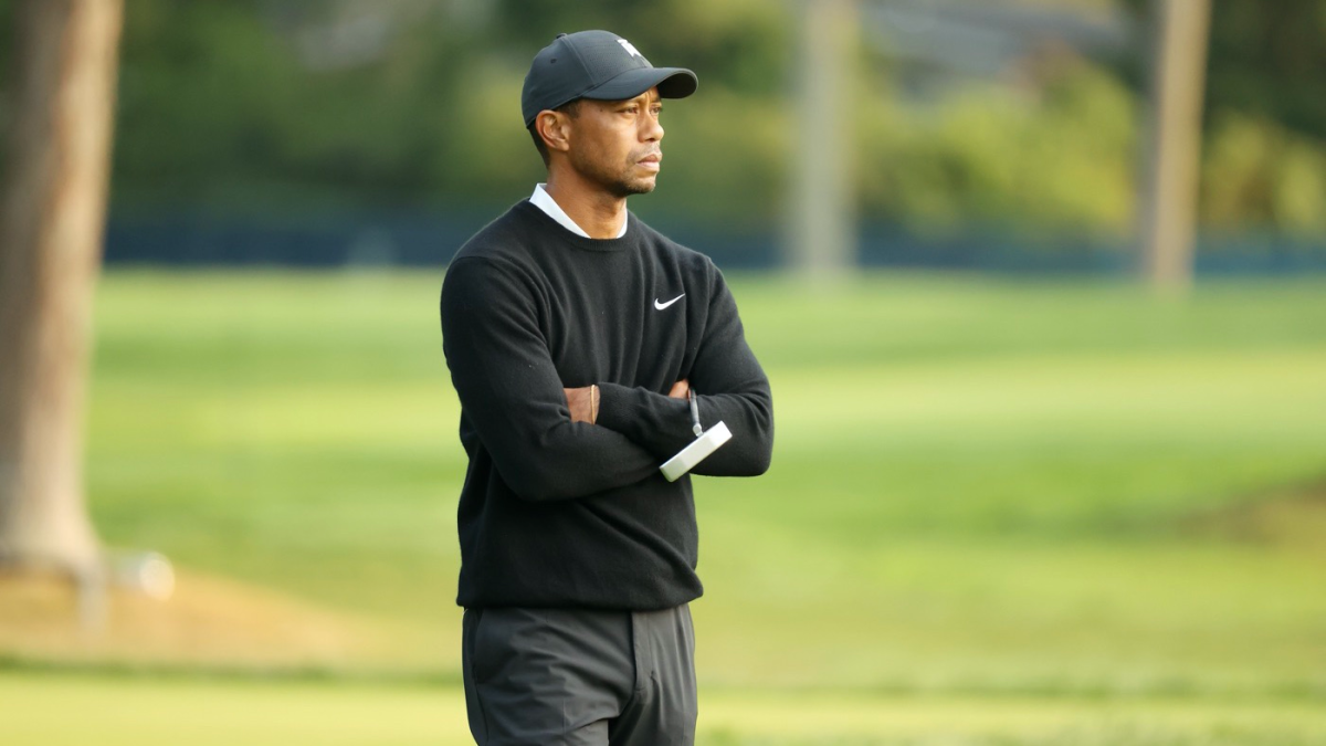 Tiger woods sweater hot sale