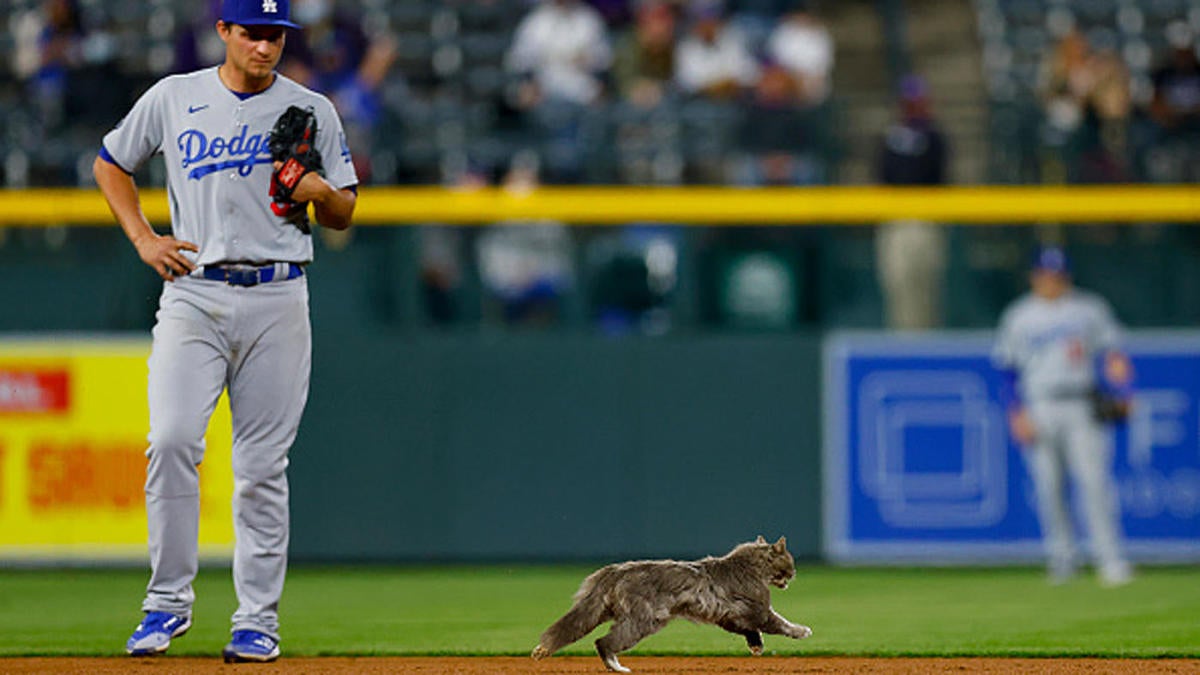 WATCH: Cat interrupts Dodgers-Rockies game at Coors Field
